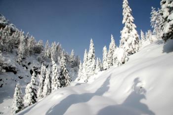 Winter landscape in the mountain Zoncolan 