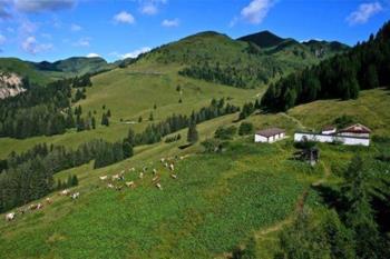 Panoramica  