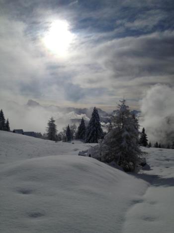 Winter landscape in the mountain Zoncolan  