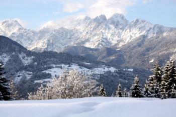 Winter Vision 