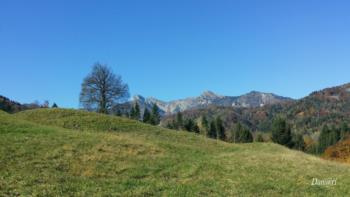 Carnic hills 