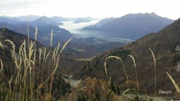Tagliamento valley 